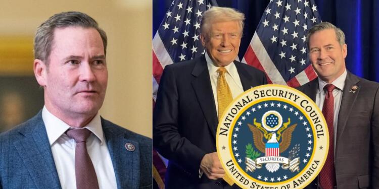 Trump's NSA Mike Waltz asked NSC intelligence officials to resign