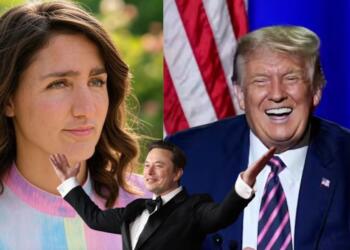 Swallow Canada: Donald Trump makes a mockery of Trudeau
