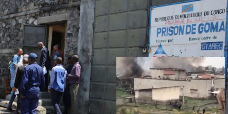 Hundreds of Women Raped and Burned Alive in Congo