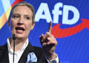 The Rise of AfD, a Right Wing Party in Germany