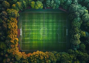 Why Sports Betting is So Big in India