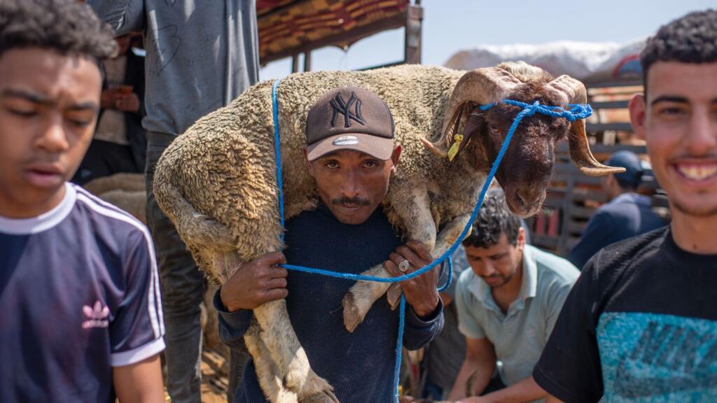 Morocco King Urges Moroccans to Refrain from Eid Sacrifice