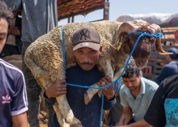 Morocco King Urges Moroccans to Refrain from Eid Sacrifice