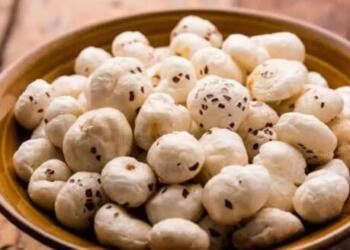 National Symposium Outlines Vision for Makhana as Catalyst of Rural Growth in Bihar