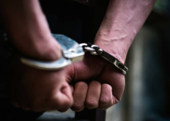 Pune Porsche Case doctor Faces New Arrest in Kidney Transplant Fraud