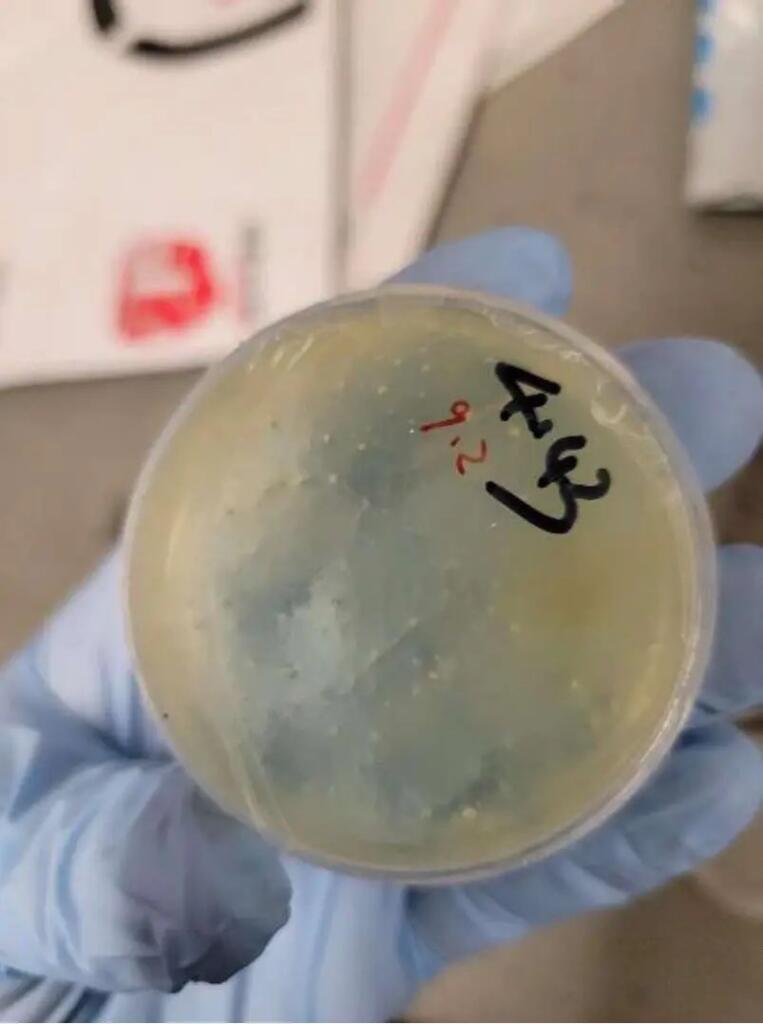 Chinese Researcher Arrested for Smuggling Biological Material to U.S.