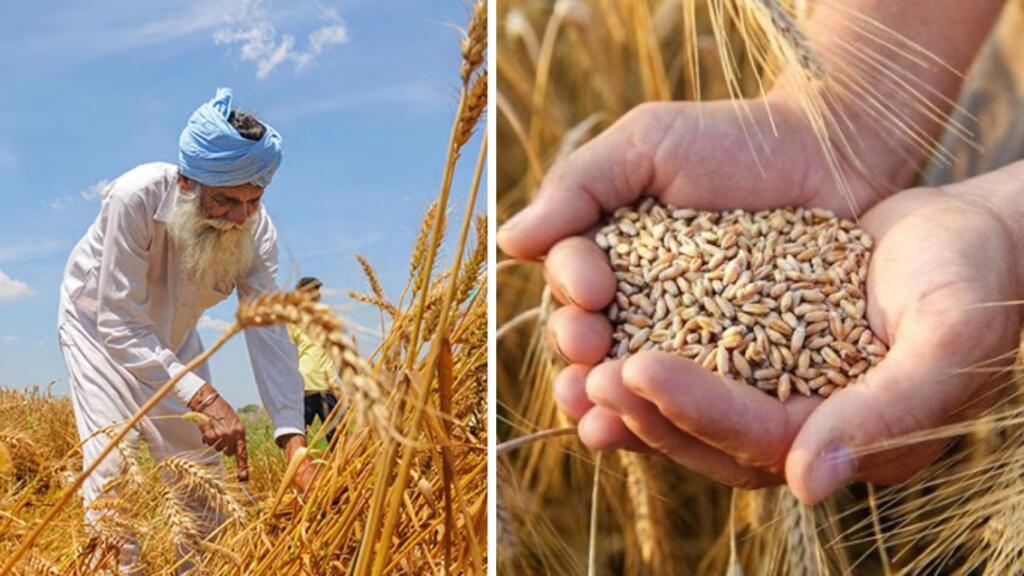 Revolutionizing Indian Agriculture through Digital Intelligence and Data-Led Governance