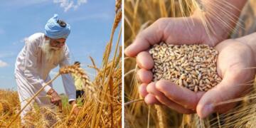 Revolutionizing Indian Agriculture through Digital Intelligence and Data-Led Governance