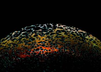 Is India Ready for a Potential China-Pakistan Biowarfare Nexus?