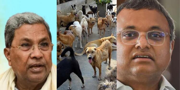 Congress Infighting Continues: Karti Criticizes Siddaramaiah’s Chicken & Egg Rice Scheme for Stray Dogs