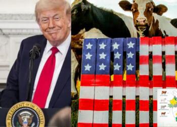 Non-veg milk a red line in India-US trade talks. Here's why