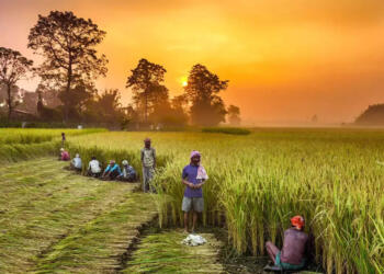 The Global Scenario: A Threat to Farmers and Food Sovereignty