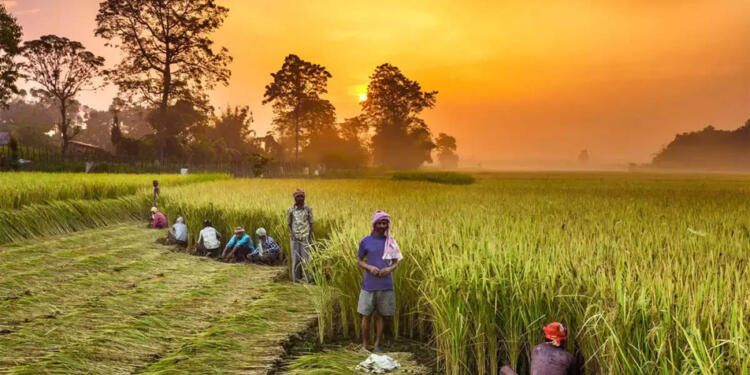 The Global Scenario: A Threat to Farmers and Food Sovereignty