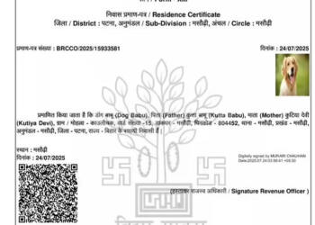 Paw-lling Error: Golden Retriever named ‘Dog Babu’ Gets Voter-Ready in Bihar