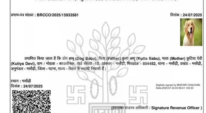 Paw-lling Error: Golden Retriever named ‘Dog Babu’ Gets Voter-Ready in Bihar