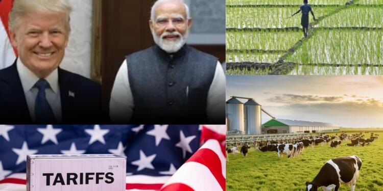 Congress Party’s Opportunism: Siding with Trump, Attacking India