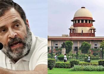 'Wouldn't Say This If You Were Truly Indian...', SC To Rahul Gandhi Over Chinese Occupations Claims
