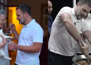 SC Dog Verdict: Rahul, Chidambaram at Odds; Congress Scion targeted over Meat Eating, Foreign Breeds on Social Media