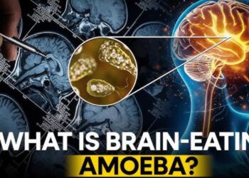 Kerala’s Battle with the ‘Brain-Eating Disease’: What is This Mysterious Amoeba? Where Does It Originate?