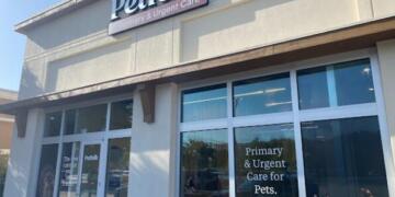 Veterinary Care Tips: Keeping Your Pet Safe And Healthy