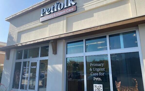 Veterinary Care Tips: Keeping Your Pet Safe And Healthy