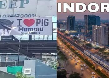 ‘I Love Pig’ Posters Surface In Indore Days After ‘I Love Muhammad’ Row