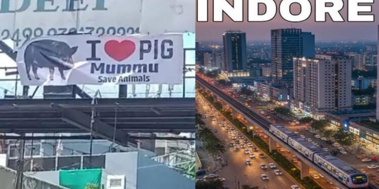 ‘I Love Pig’ Posters Surface In Indore Days After ‘I Love Muhammad’ Row