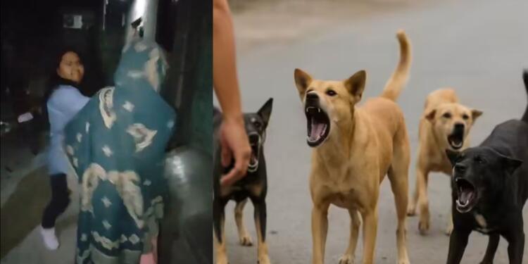 Woman Assaulted in the Name of Animal Rights : When Saving Animals Become Hurting Humans, The Dark Side of Street Activism