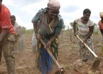 Harvesting Influence: China’s Growing Control Over Africa’s Food Corridors