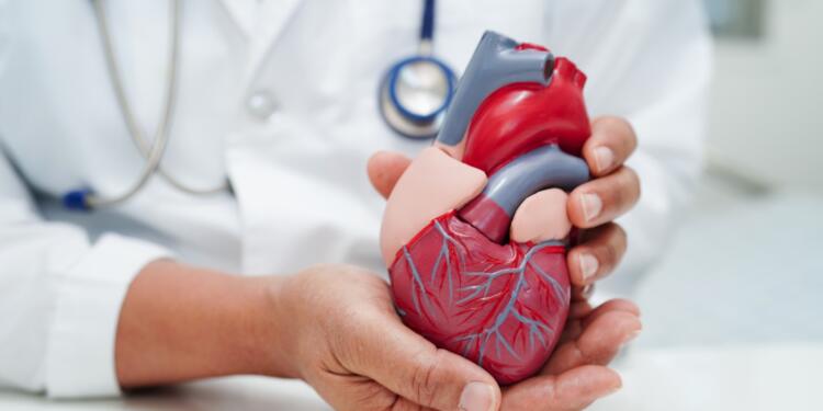 Heart Surgery Hospital in Delhi: What to Expect During Your Procedure