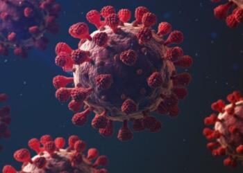 6 Years Ago, Here’s How China’s Political System Turned A Local Outbreak Into A Global Pandemic