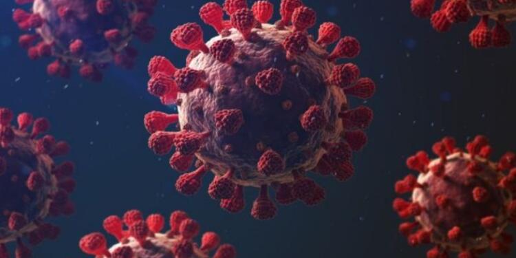 6 Years Ago, Here’s How China’s Political System Turned A Local Outbreak Into A Global Pandemic