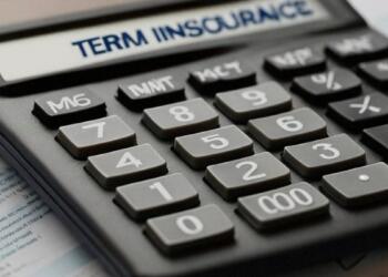 Factors That Affect Term Insurance Calculator Results