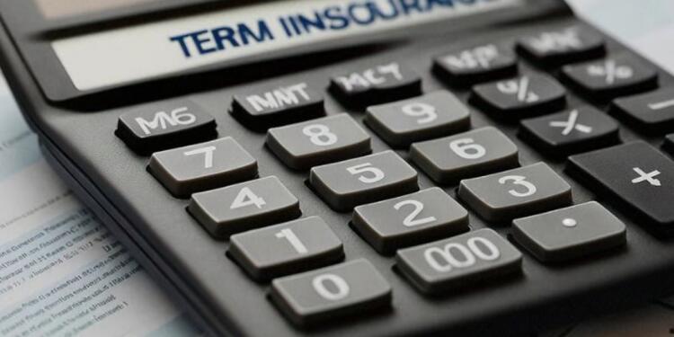 Factors That Affect Term Insurance Calculator Results