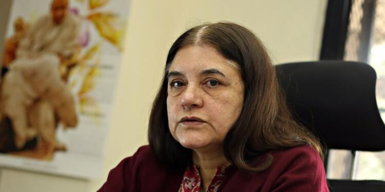 ‘Committed Contempt’: SC Pulls Up Maneka Gandhi Over Remarks on Stray Dog Order, Makes ‘Kasab’ Reference