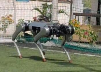 Meet Param: India’s Most Powerful Indigenous Robodog, Built from Scratch by Bengaluru Startup