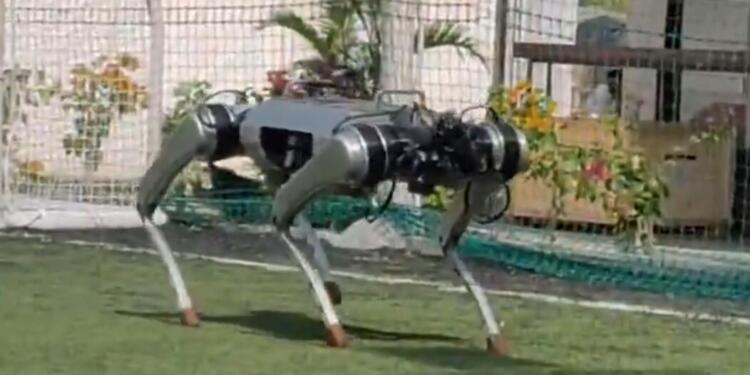 Meet Param: India’s Most Powerful Indigenous Robodog, Built from Scratch by Bengaluru Startup