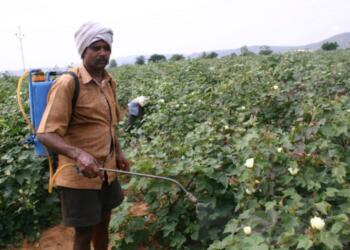 After Oil, Fertiliser Supply Becomes India’s Next Concern Amid Iran’s Hormuz Tensions