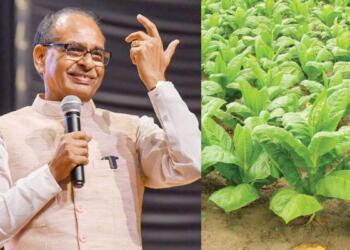 Shift Away from Tobacco, Faster Insurance Payouts: Government Unveils Multi-Pronged Plan to Secure Farmers’ Incomes