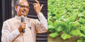 Shift Away from Tobacco, Faster Insurance Payouts: Government Unveils Multi-Pronged Plan to Secure Farmers’ Incomes