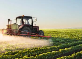 ₹2,481 Crore Natural Farming Push Gains Ground as Farmers Report Lower Costs and Better Yields