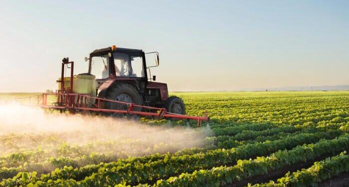 ₹2,481 Crore Natural Farming Push Gains Ground as Farmers Report Lower Costs and Better Yields