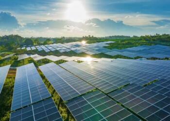 India’s Solar Surge: From 3 GW to 172 GW, Government Showcases Massive Renewable Leap