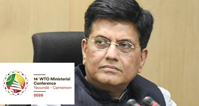 Piyush Goyal at WTO Cameroon