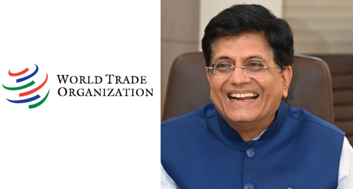 Piyush Goyal at WTO Cameroon