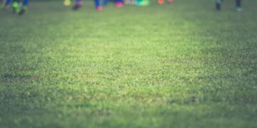 Why Melbet India is Gaining Popularity among Indian Sports Fans?