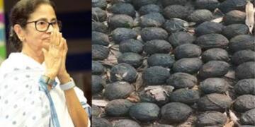 Bombs Before Ballots: NIA Enters Bengal as Explosives Trail Raises Questions Over TMC’s Violence Model