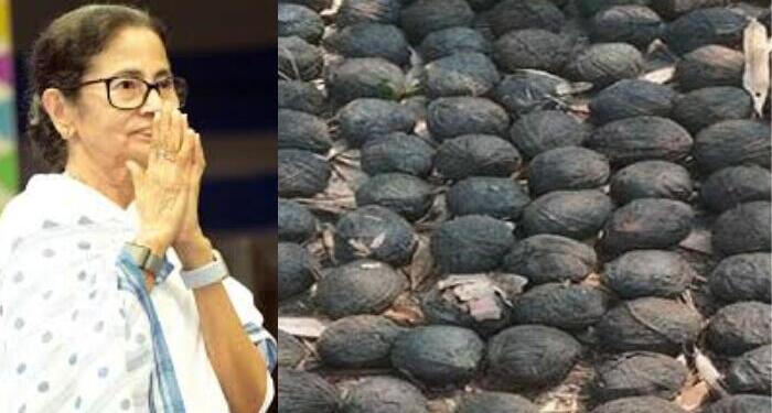 Recovered bombs raise concerns ahead of voting