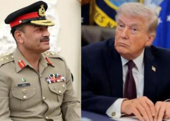 Pakistan's contribution in 2 week ceasefire