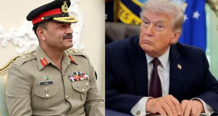 Pakistan's contribution in 2 week ceasefire